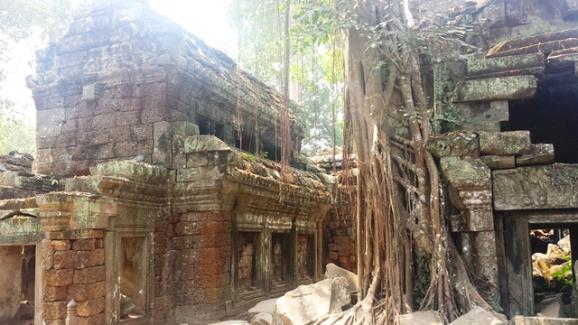 ta-prohm-02