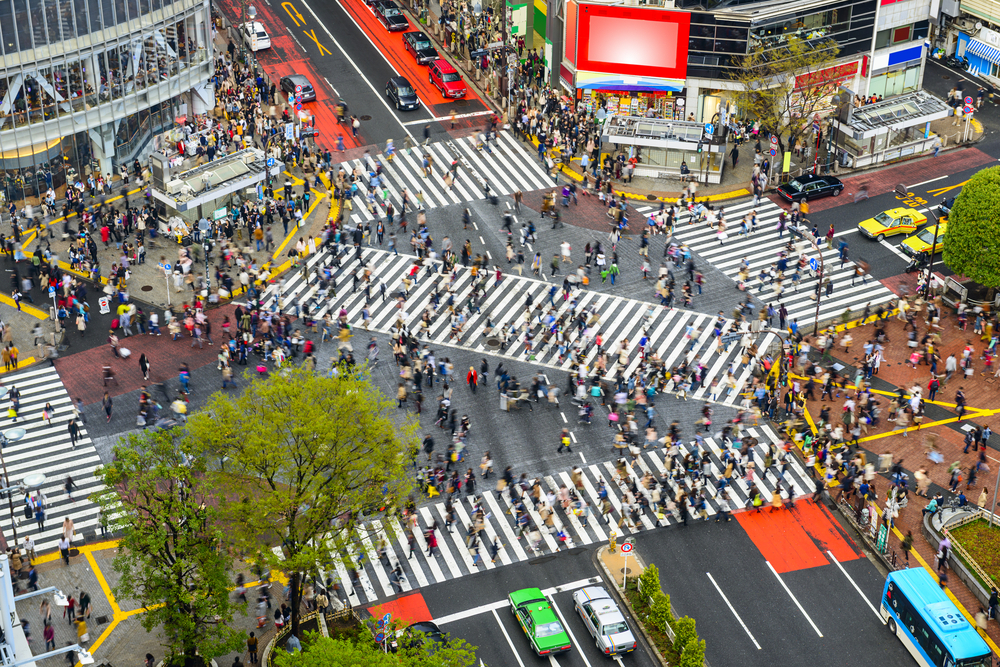 shibuya Toquio