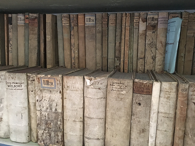 Strahov Monastery livros