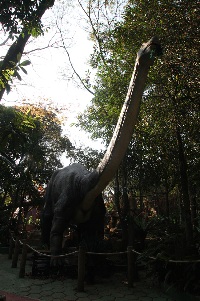 mundo-dos-dinossauros-zoo-sp