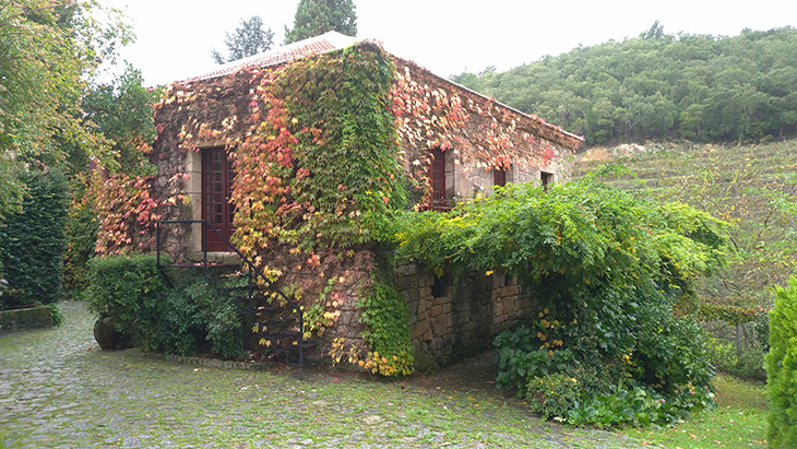 Quinta da Covela (Foto: André Prado)