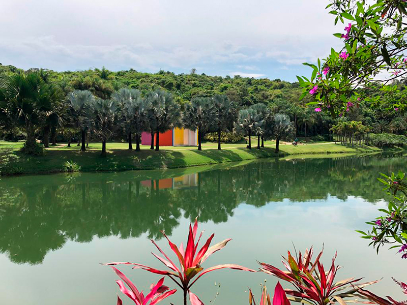 Museu e Jardim Botânico Inhotim (Foto: Tina Bornstein)