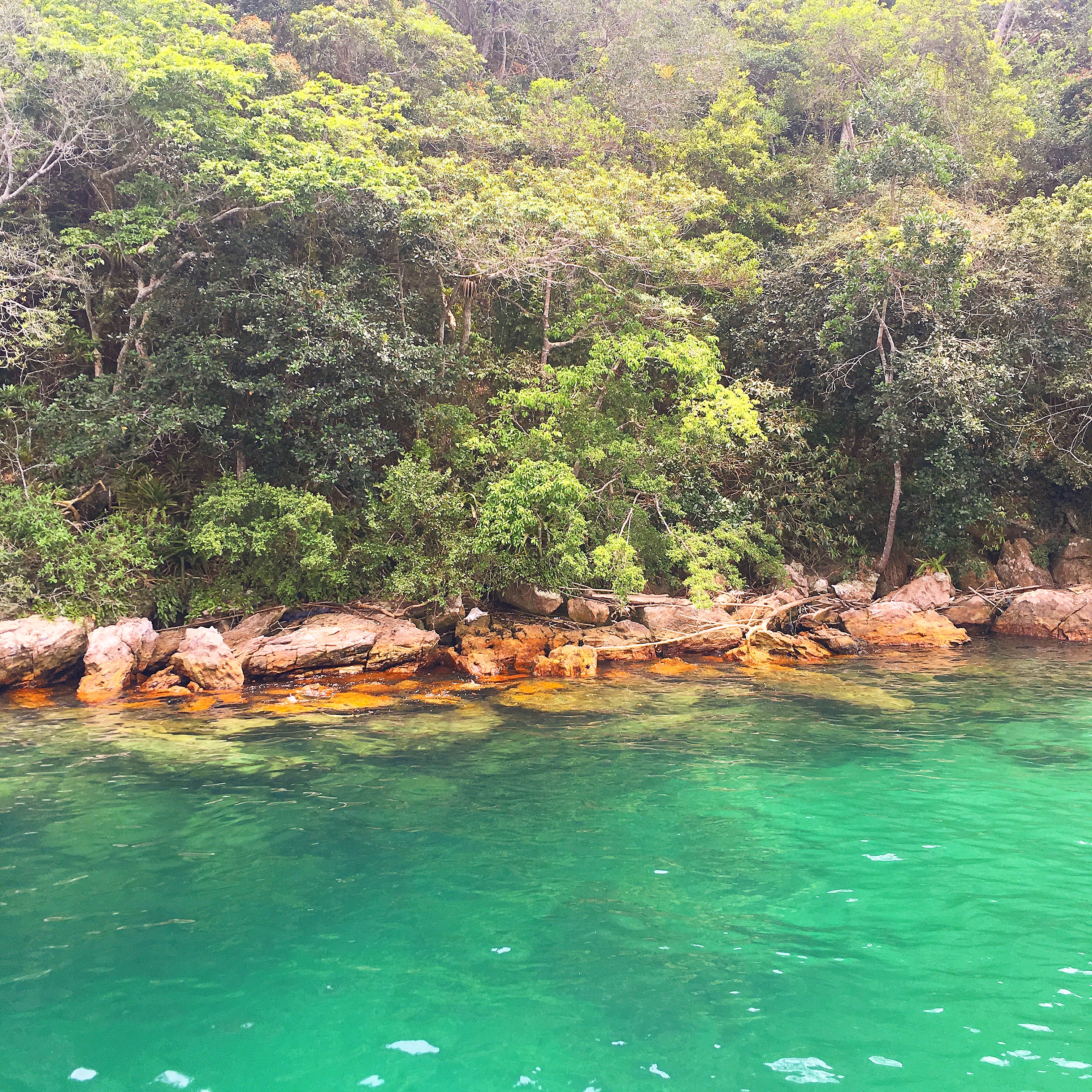 Angra dos Reis, Rio de Janeiro (Foto: Daniela Filomeno)