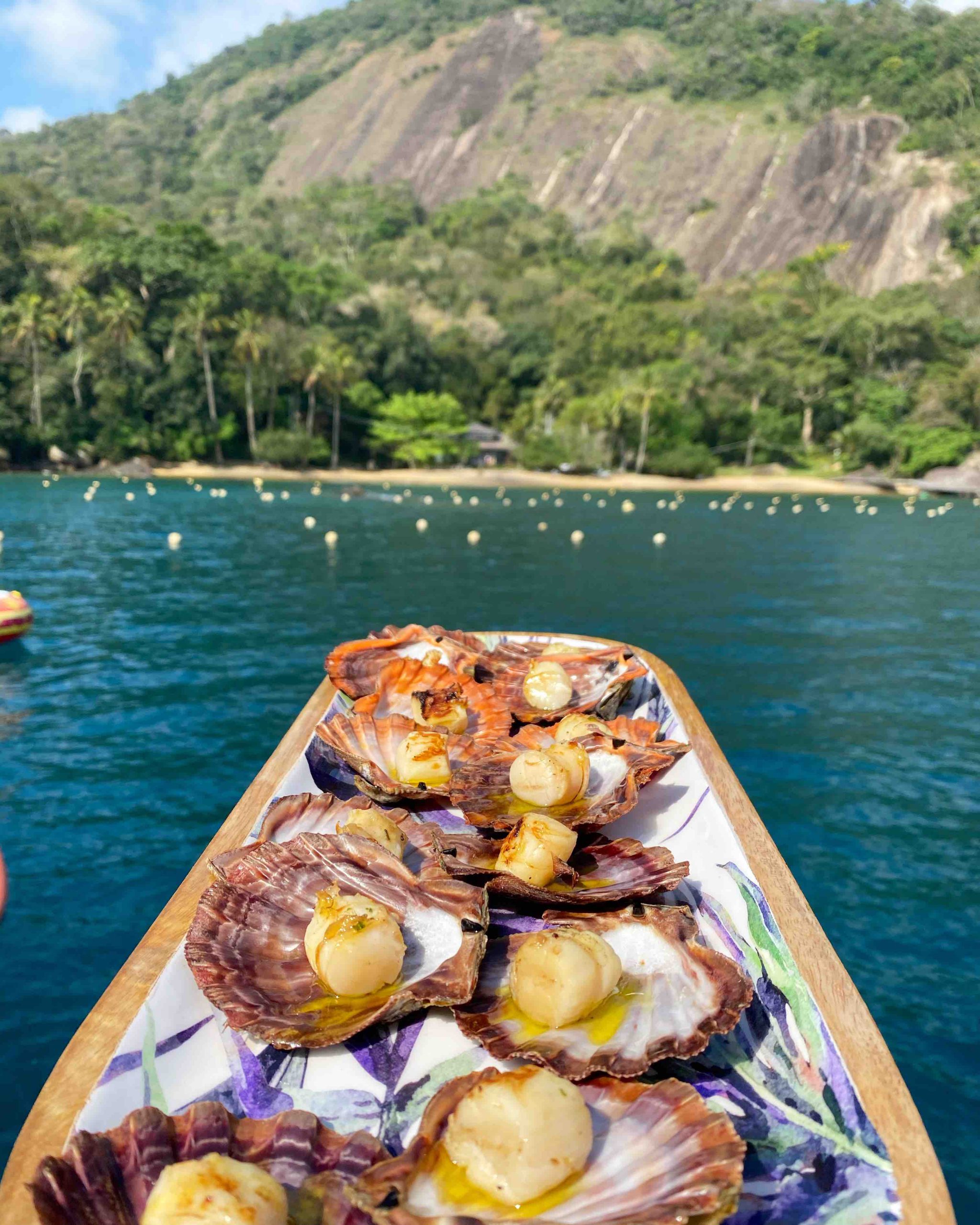 Vieiras fresquinhas em Angra dos Reis (Foto: Daniela Filomeno)