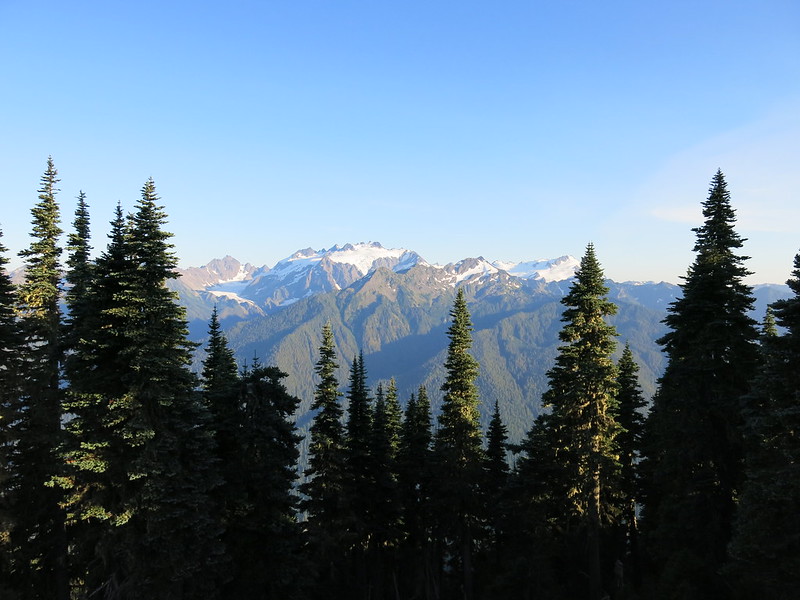 Vista para o Monte Olimpo, no Olympic National Park