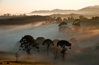 Conheça o Parque Nacional da Serra da Bocaina