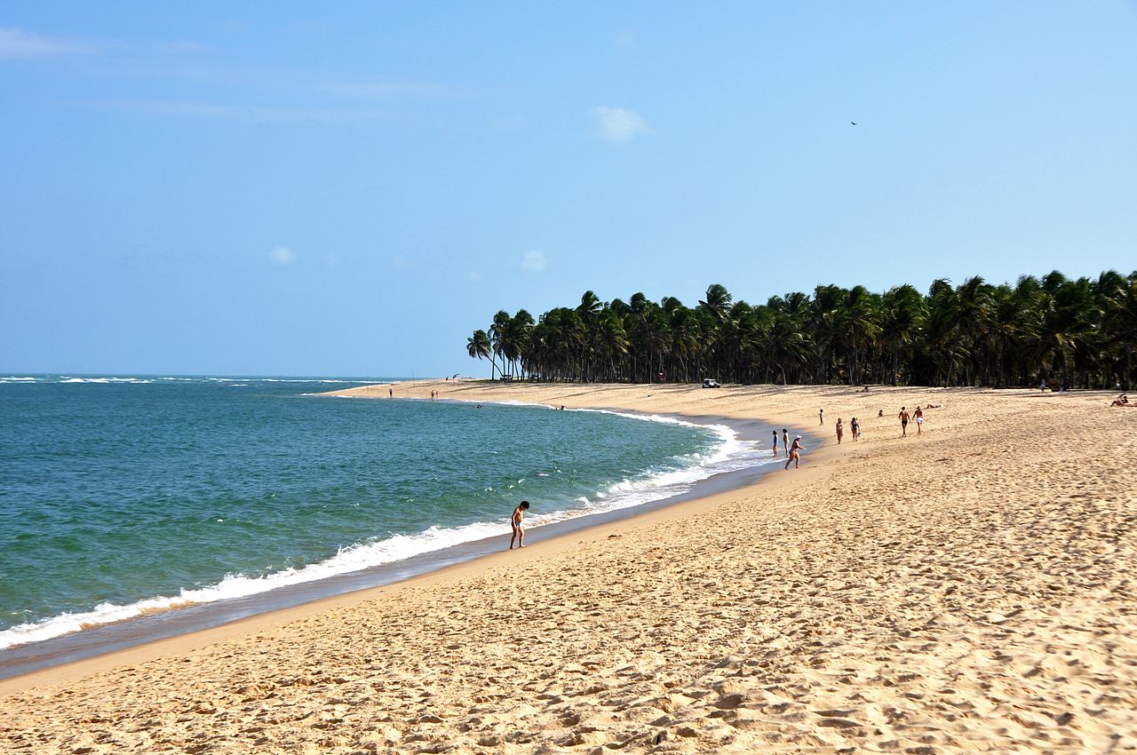 Areias brancas e coqueiros da Praia do Gunga