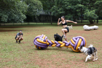 Parque do Ibirapuera, em SP,  ganha maior “cachorródromo” da América Latina